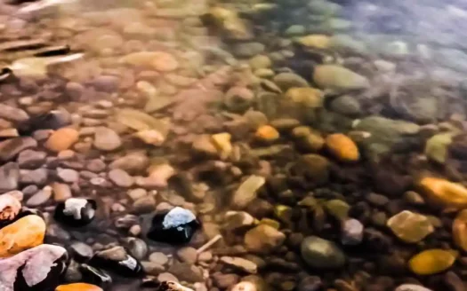 Fast Web Stories Conheça a Cidade