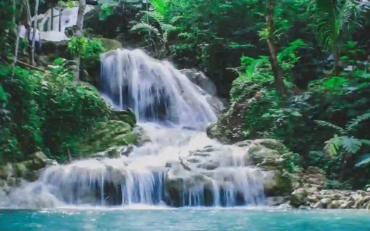 Fast Web Stories Conheça a Cidade