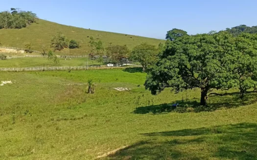 Fazenda no KM19 - Rodovia Rio-Friburgo com 5 Alqueires à Venda!!!