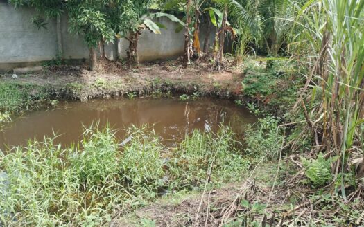 Terreno com 1.000m² à Venda em Parque Santa Eugênia