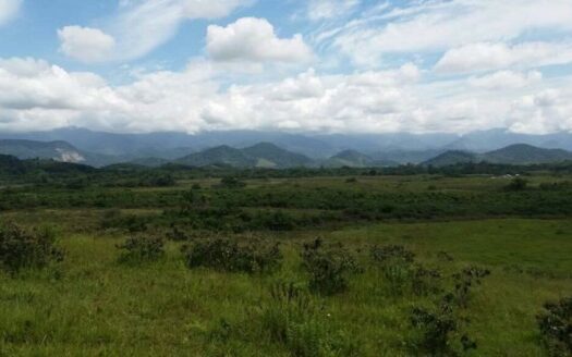 Fazenda com 80 alqueires no Vale das Pedrinhas à Venda