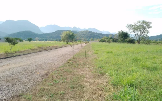 Terreno à Venda em Cotia