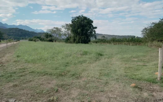 Terreno à Venda na Cotia