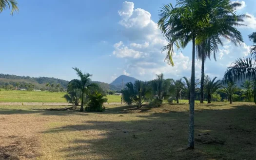 Terreno com 8.000m² à Venda em Cotia