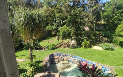 Sítio em Parque Silvestre à Venda