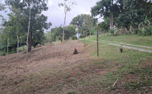 Terreno próximo ao Centro de Parada Modelo à Venda
