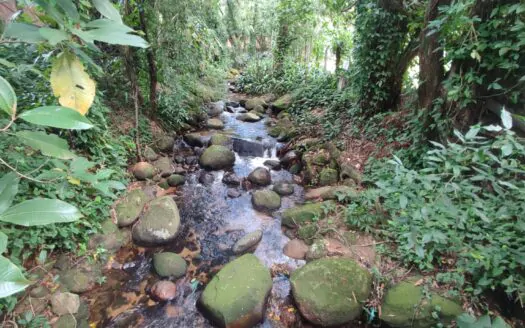 Terreno com Cachoeira nos Fundos à Venda em Guapimirim