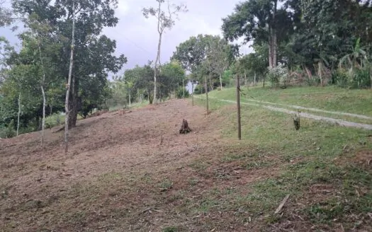 Terreno próximo ao Centro de Parada Modelo à Venda Terreno próximo ao Centro de Parada Modelo à Venda